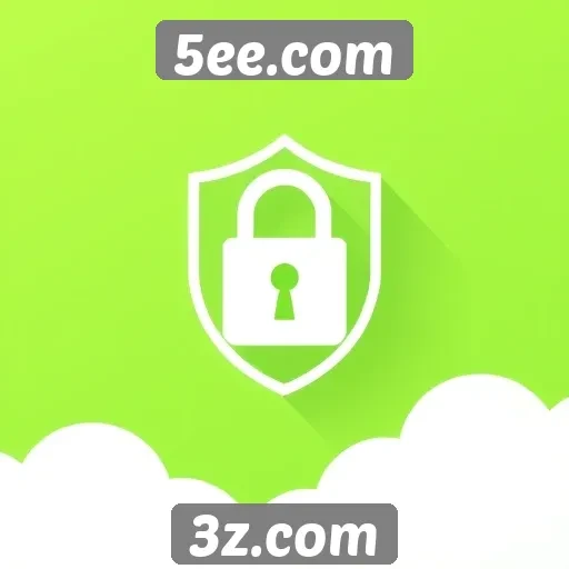 Avaliação da segurança e privacidade em 5ee.com